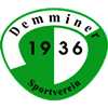 Wappen Demminer SV 91 diverse  69780