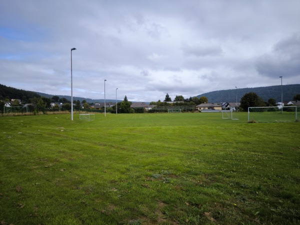 Mittelpunktsportanlage Platz 2 - Reinhardshagen-Veckerhagen