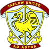 Wappen Taplow United FC  118697