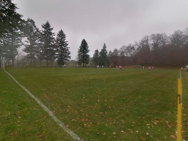 Stadion Schwarzach Nebenplatz - Schwarzach/Baden