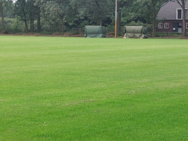 Sportpark De Merel veld 2 - Horst aan de Maas-Melderslo