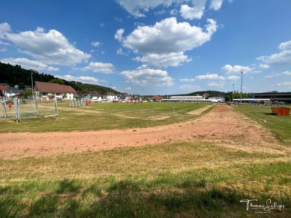 Sportplatz an der Donauhalle - Immendingen