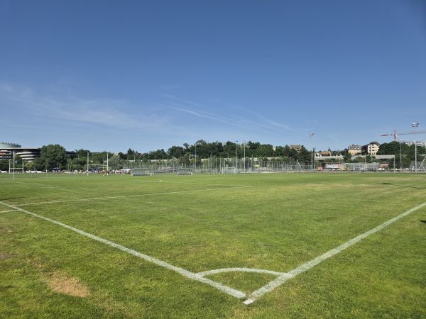Sportanlage Allmend Brunau Platz 6 - Zürich