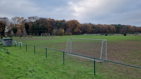Complex Umitspor Terrein 3 - Maasmechelen-Vucht