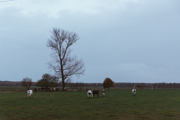 Sportplatz Kirschblütenstraße - Karstädt/Prignitz-Laaslich
