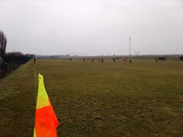 Arena Bulls - Preajba