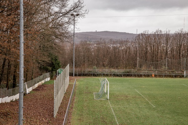 Ludwig-Zeitz-Stadion - Sulzbach/Saar-Hühnerfeld