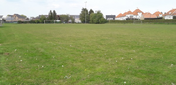Sportcentrum Scheersel Brieleke Terrein 2 - Wommelgem