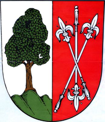 Wappen TJ Sokol Litenčice