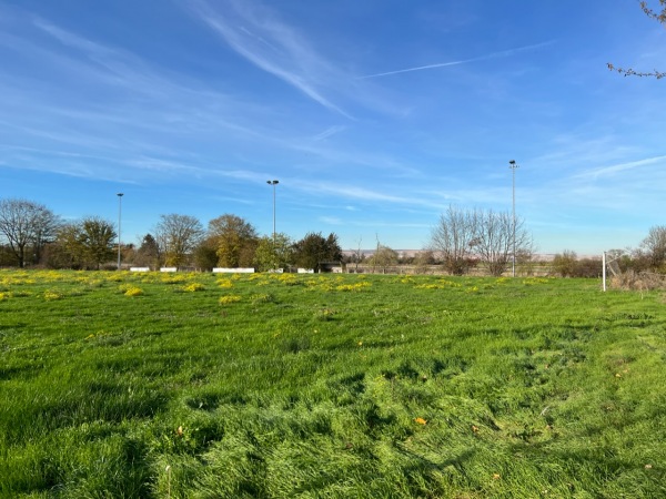 Sportplatz Ludwig-Rixen-Straße - Merzenich-Morschenich