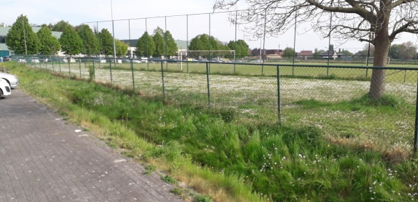 Sportcentrum Scheersel Brieleke Terrein 4 - Wommelgem