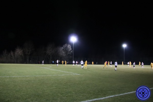 Diesterwegsportplatz - Auerbach/Vogtland