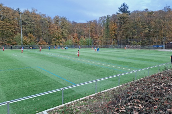 Sportplatz Rauenthal - Eltville/Rhein-Rauenthal