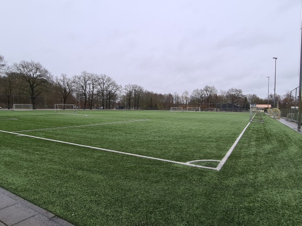 Sportpark Slangenbeek veld 6 - Hengelo OV