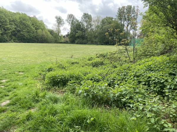 Waldstadion - Dortmund-Höchsten