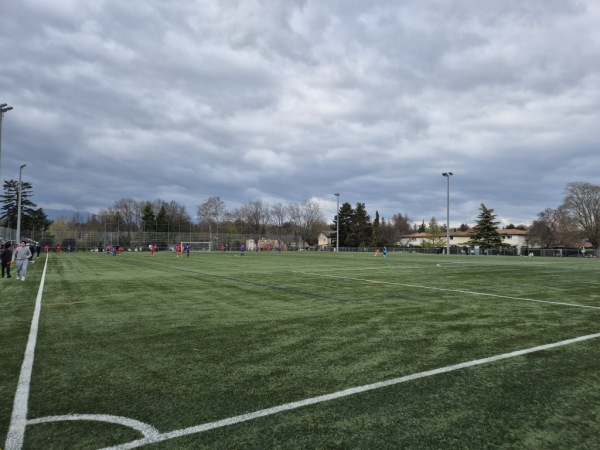 Stade des Fraisiers terrain B - Grand-Lancy