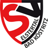 Wappen SV Elstertal Bad Köstritz 1920 diverse