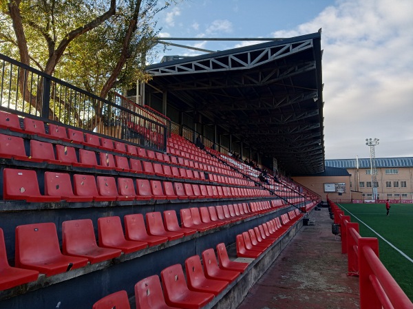 Estadio Amelia del Castillo - Pinto, MD