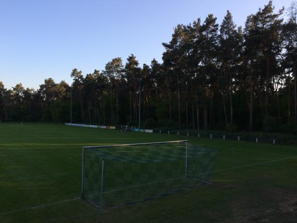 Sportplatz Dörpstroat - Lübbow-Dangenstorf