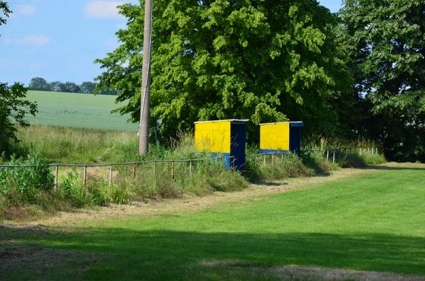 Sportplatz Schackensleben 2 - Hohe Börde-Schackensleben
