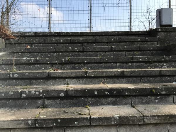 Bezirkssportanlage Schönau - Mannheim-Schönau