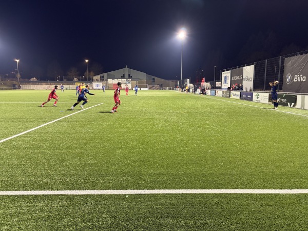 Terrain In Bertzent - Nidderfeelen (Niederfeulen)