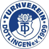 Wappen TV Dötlingen 1909 diverse  93884