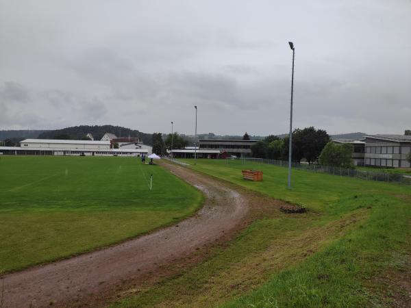 Sportplatz an der Donauhalle - Immendingen