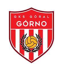 Wappen GKS Górno