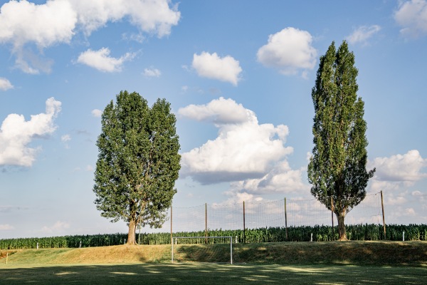 Sportplatz am Wald 2 - Droyßig