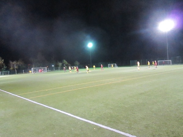 Saughton Park 3G - Edinburgh, City of Edinburgh
