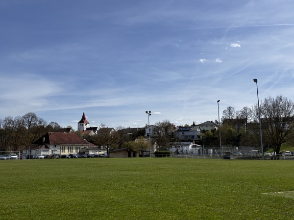 Sportzentrum Wasen Platz 2 - Freiberg/Neckar