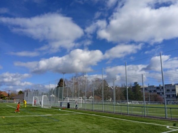 Stade des Fraisiers terrain B - Grand-Lancy