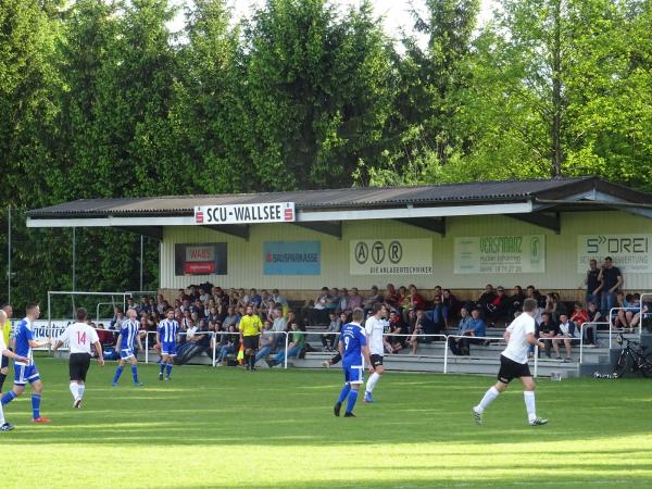 ATR Arena - Wallsee