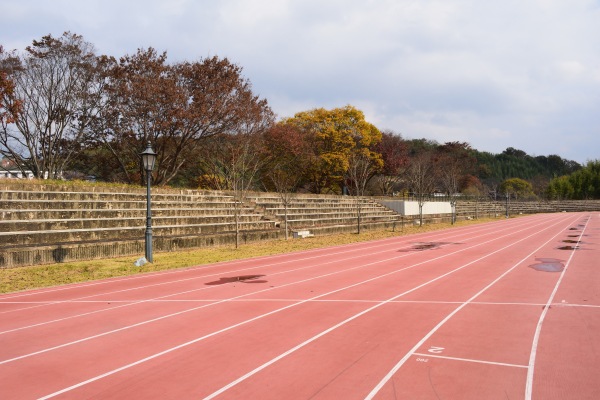 Chuseong Stadium - Damyang