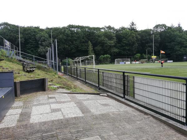 Sportpark De Pinkenberg veld 1-VVO - Rozendaal