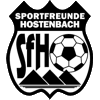 Wappen SF Hostenbach 1945 II