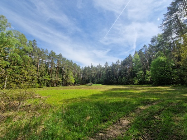 Waldsportanlage - Lauf/Pegnitz-Neunhof
