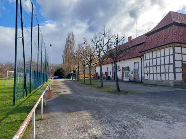 Stade Municipal de l'Orangerie - Colmar