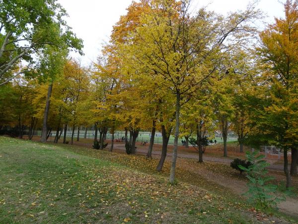 Roter Platz im Ostparkstadion - Frankenthal/Pfalz