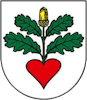 Wappen OFK Rakúsy