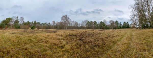 Sportplatz Seeweg - Wokuhl-Dabelow