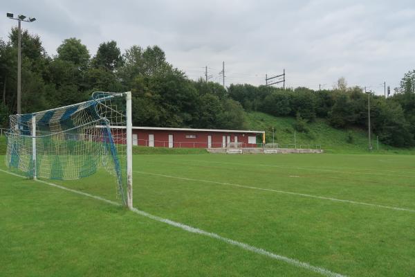 Sportplatz Dammweg - Goldach