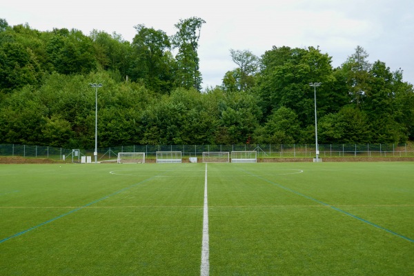 Complexe Sportif de la Fleur de Lys terrain 3 - Prilly