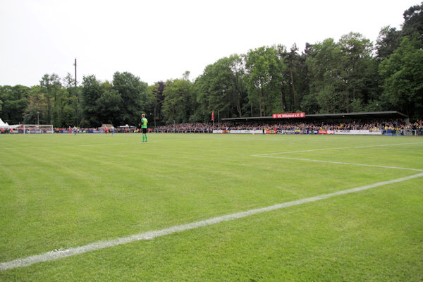 Krandelstadion - Wildeshausen