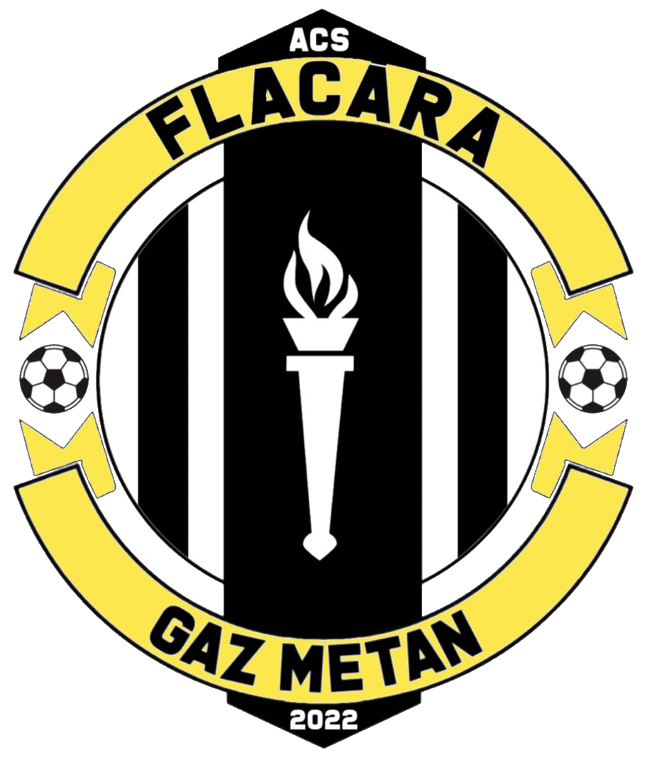 Wappen ACS Flacara Gaz-Metan
