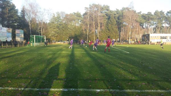 Complex Sportlaan - Beringen-Koersel