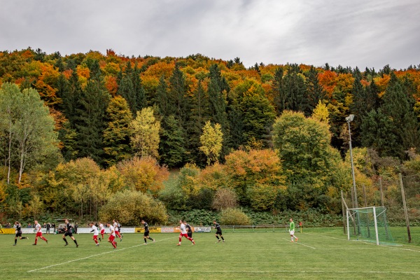 Sportanlage am Trubach - Obertrubach-Wolfsberg