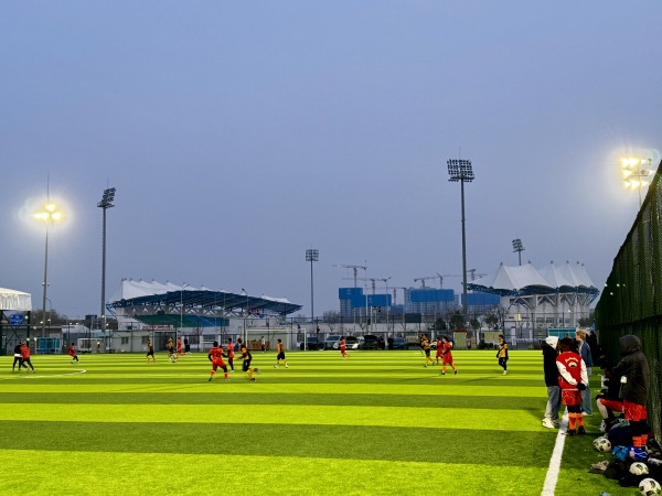 Chaoyang Sports Center artificial turf - Beijing