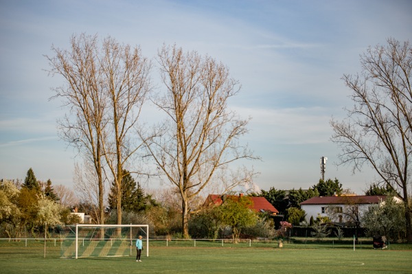 Sportanlage Paul-Singer-Straße - Halle/Saale-Reideburg
